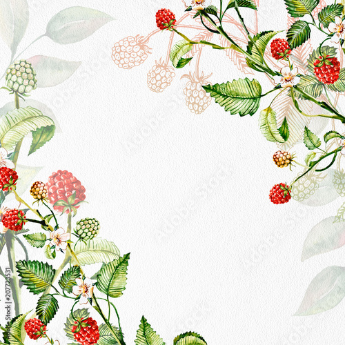 Composition of raspberry berries. Watercolor drawing handmade. Template, frame.