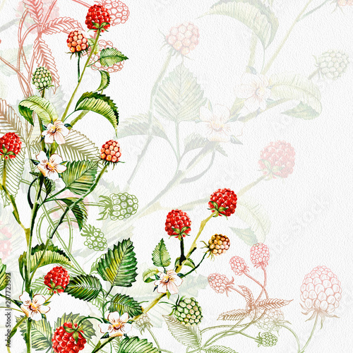 Composition of raspberry berries. Watercolor drawing handmade. Template, frame.