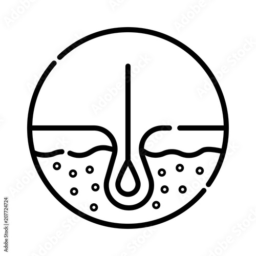 hair icon isolated human removal grow medical bulb.