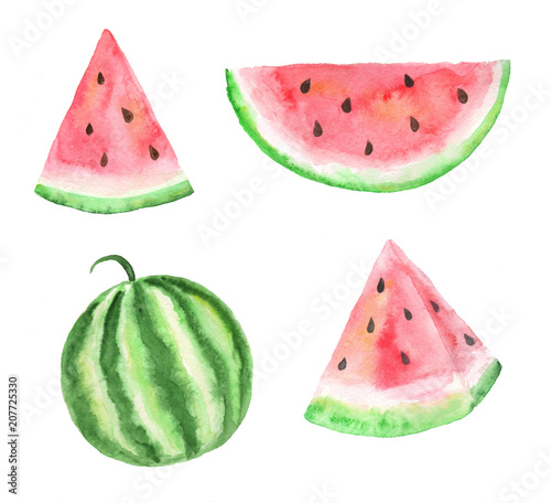 Hand drawn collection of watermelons. Set of watercolor fruit elements. 