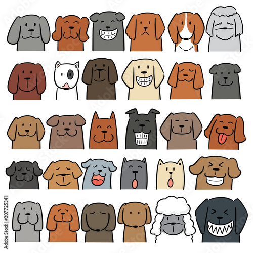 vector set of dog