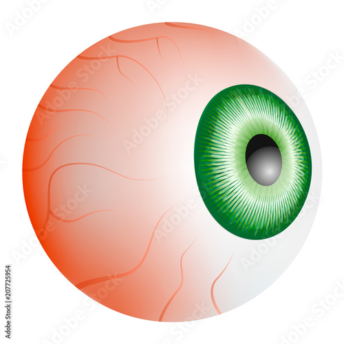 Eyeball blood mockup. Realistic illustration of eyeball blood vector mockup for web design isolated on white background