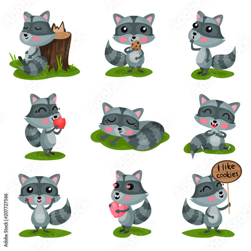 Flat vector set with adorable raccoon in different situations. Wild forest animal with shiny eyes, pink cheeks and striped tail