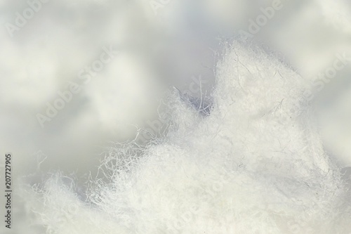 Cellulose fiber photo
