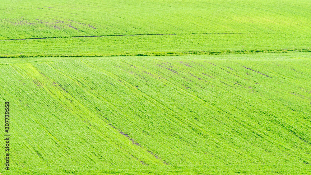Obraz premium Grasslands backdrop
