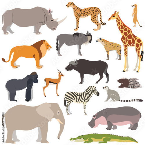 Vector illustration of cute african animals isolated on white background  such as elephant  zebra  giraffe  hippo  gorilla...