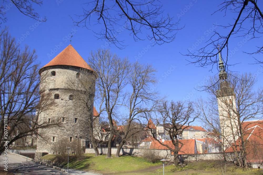 Beautiful view of the maiden's tower with the adjacent fortress wall and the dome of the tower Oleviste Churchand in Tallinn, Estonia on a sunny day Beautiful view of the maiden's tower with the adjacent fortress wall and the dome of the tower Oleviste Churchand in Tallinn, Estonia on a sunny day