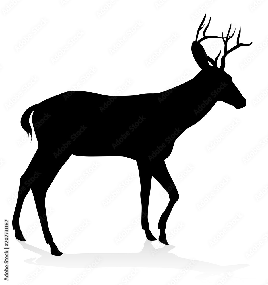 Obraz premium Deer Animal Silhouette