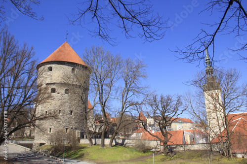Beautiful view of the maiden's tower with the adjacent fortress wall and the dome of the tower Oleviste Churchand in Tallinn, Estonia on a sunny day