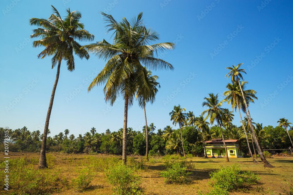 House in the tropical jungle