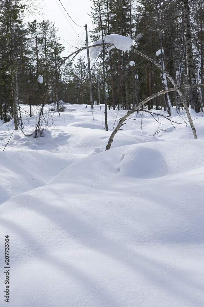 Fototapeta premium 雪景色 フィンランド ロバニエミ