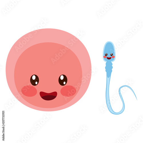 Cute happy egg cell cartoon mascot and sperm character