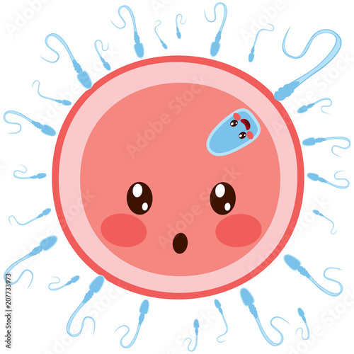 Sperm fertilizing egg cell loosing tail newborn embryo concept