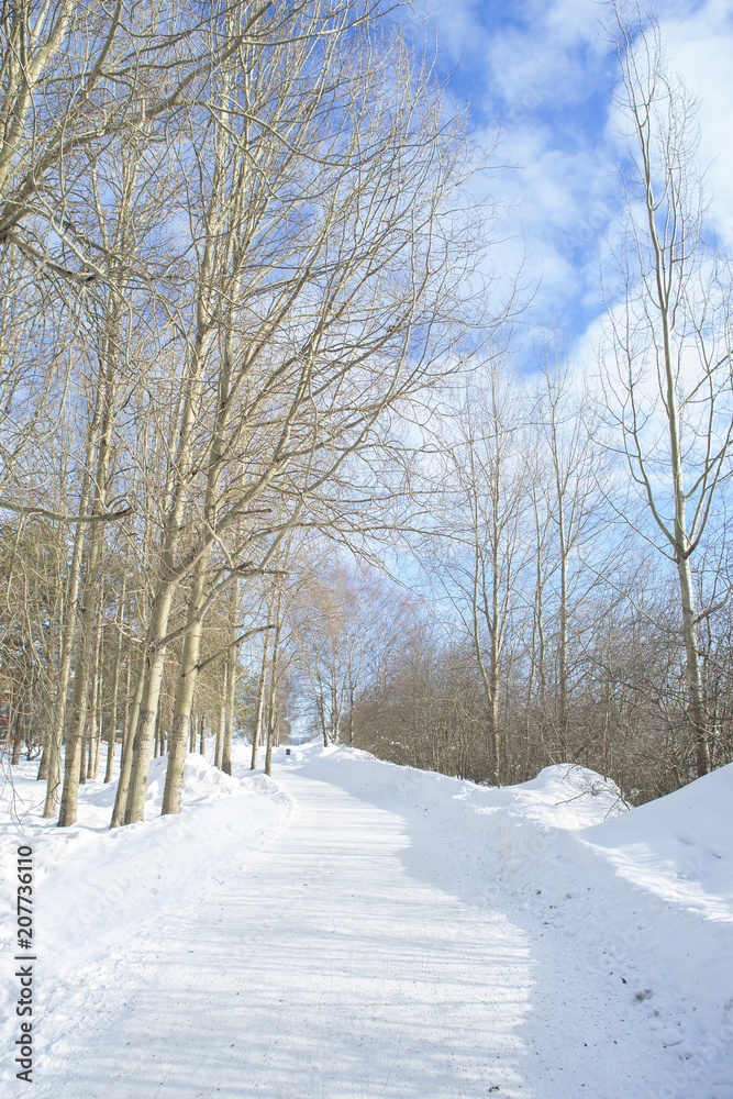 雪景色 フィンランド ロバニエミ 雪景色 フィンランド ロバニエミ