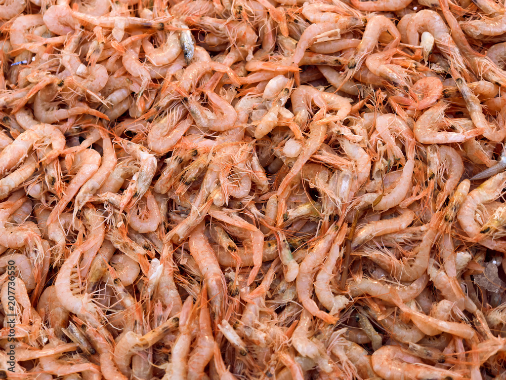 Napoli, April 26, 2018.  Detail of a pile of shrimps being sold at the fish market