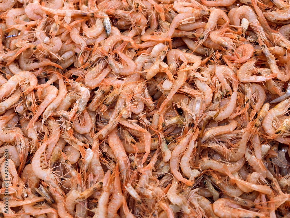 Napoli, April 26, 2018. Detail of a pile of shrimps being sold at the fish market Napoli, April 26, 2018. Detail of a pile of shrimps being sold at the fish market