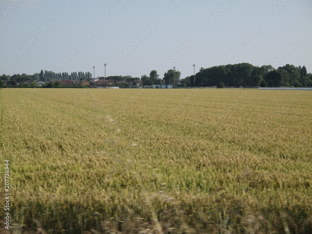 paesaggio agricolo , campagna in primavera