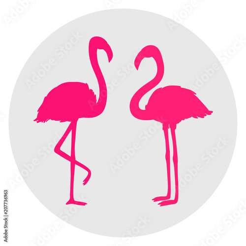 Circle web icon on isolation background. Flamingos. Cartoon birds