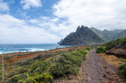 Beautiful landscape with view on the Atlantic Ocean, mountains of Anaga and the unique nature of Tenerife North. Canary Islands, Spain.