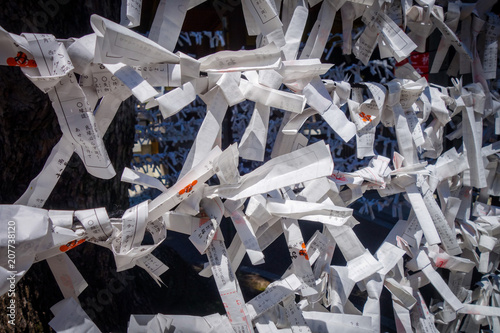 Traditional Omikujis in a temple, Tokyo, Japan photo