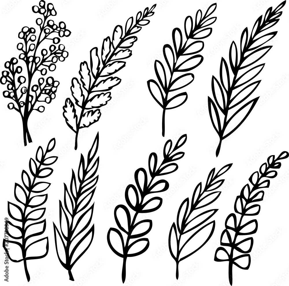 hand graphics leaves isolated on white background hand graphics leaves isolated on white background
