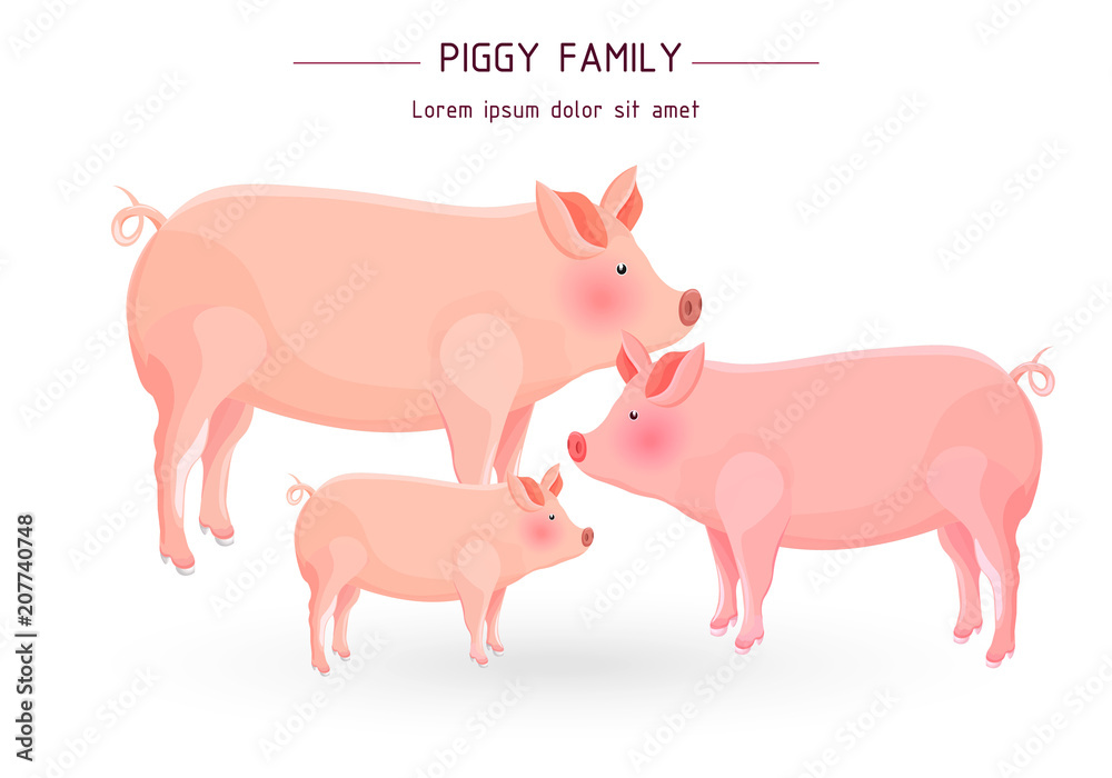 Pig family card Vector. cartoon illustration Pig family card Vector. cartoon illustration