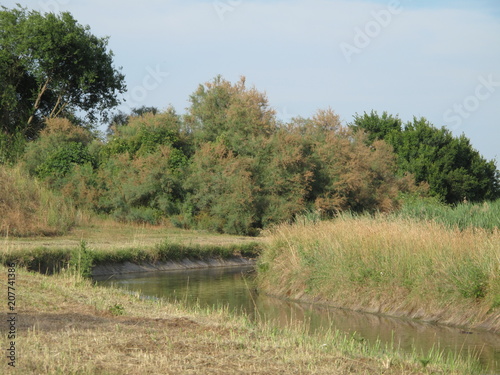 canale di irrigazione in campagna photo