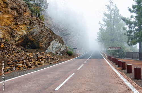 Foggy mountain road in the Natural Park of the Corona Forestal. Tenerife, Canary Islands, Spain.