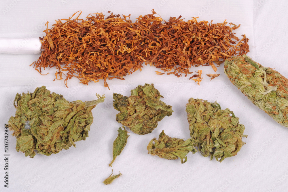 Fare una canna con marijuana e hashish - droga leggera da fumare - thc e cbd - dipendenza da droghe - sostanze legali e illegali - erba curativa - soldi e mercao nero - malaffare e malavita