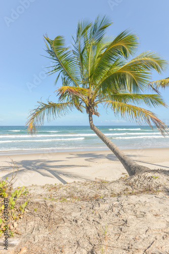 Spectacular and impressive paradise beach at the Itacare