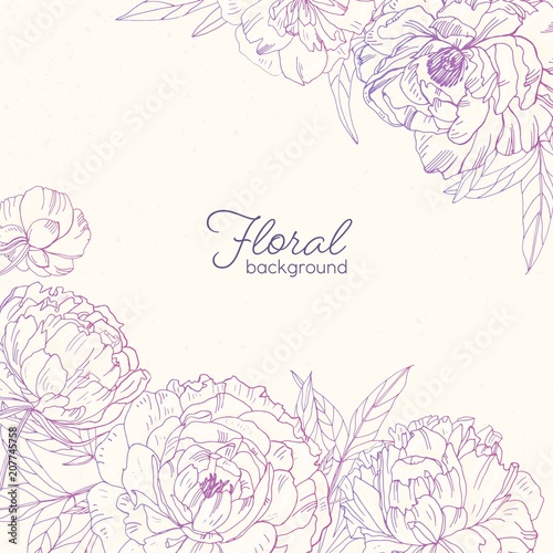 Elegant square floral backdrop decorated with peonies hand drawn with pink co...