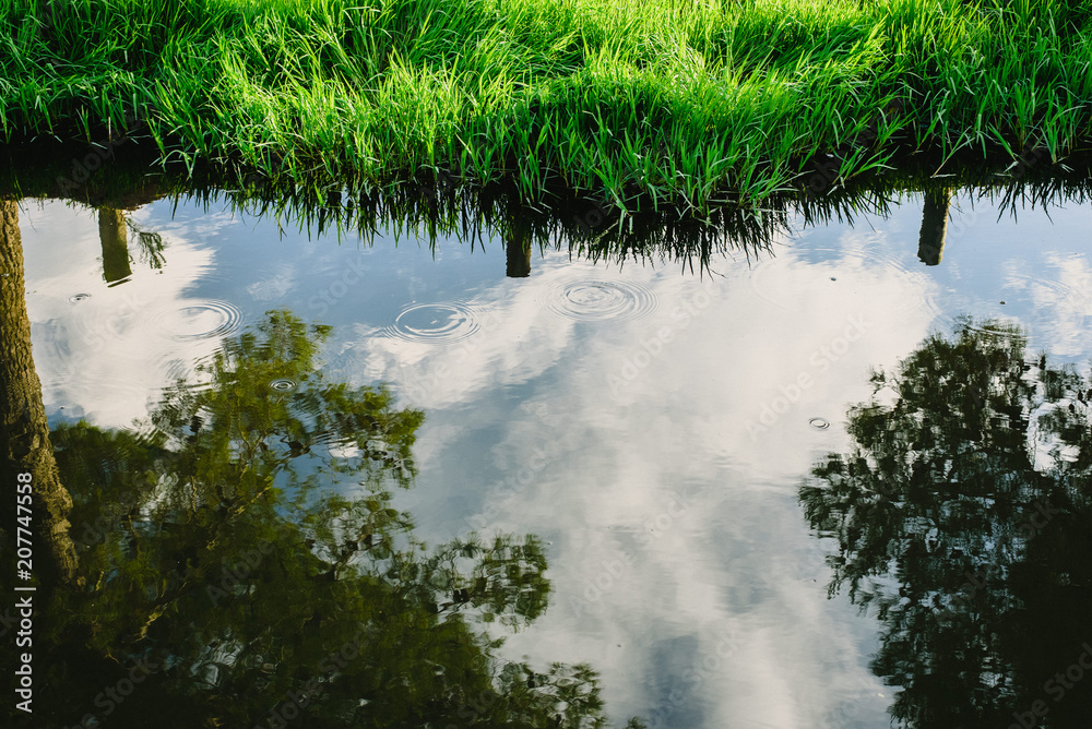 Reflections in the water of a green meadow lake