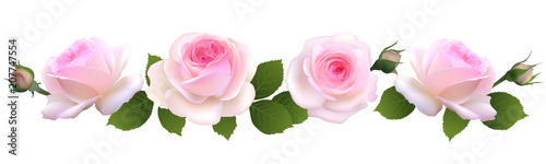Roses. Floral background. Flowers. Flower pattern. Vector illustration. Border. Petals. Buds. Pink. Green leaves. Bouquet.