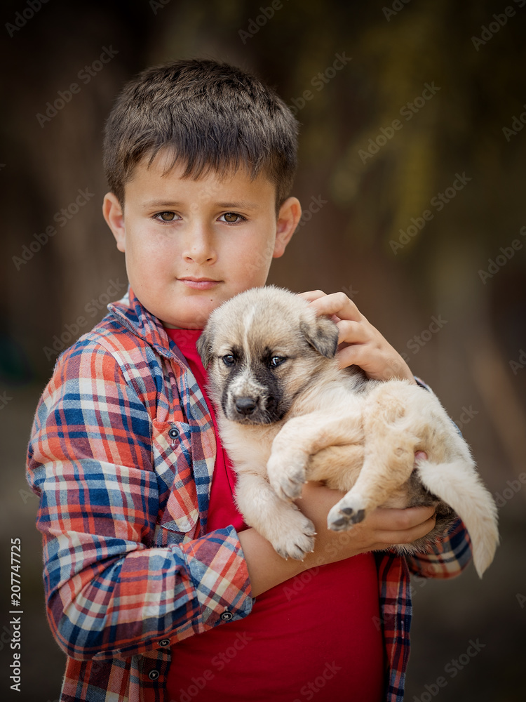 Handsome little boy is holding a dog. Close-up portrait Handsome little boy is holding a dog. Close-up portrait