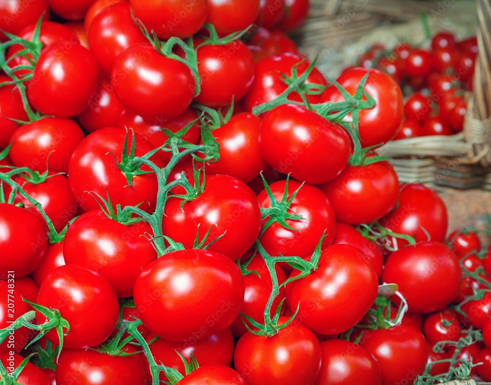 Tomatoes Tomatoes