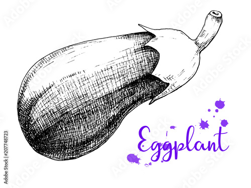 Sketch eggplant isolation on a white background.