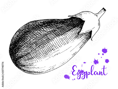 Sketch eggplant isolation on a white background. Vector.