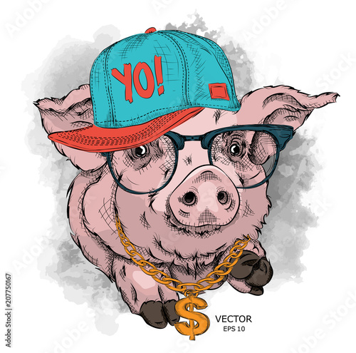 A painted funny pig with glasses and a hip hop cap. Vector illustration. It can be used as a print on clothes or as part of the design of other products