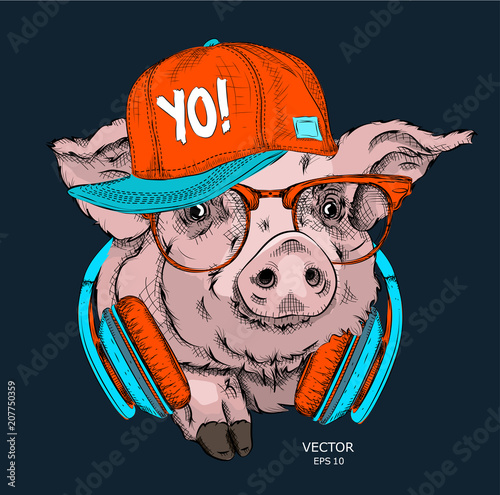 A painted funny pig with glasses and a hip hop cap. Vector illustration. It can be used as a print on clothes or as part of the design of other products