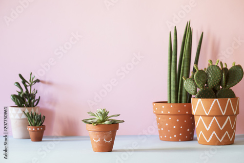 The stylish interior filled a lot of plants in different hipster clay pots. Modern plant compostion with pink background wall.