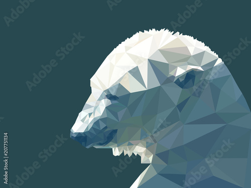 Fototapeta Wektorowa ilustracja niski poli- niedźwiedź polarny. Geometryczne wieloboczne niedźwiedź polarny sylwetka. Niedźwiedzi polarnych trójkąty wektor low poly