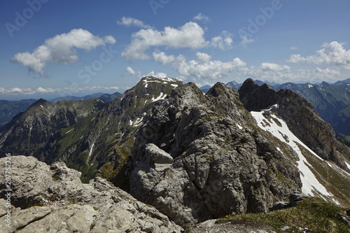 Bergwiese in den Alpen bei Oberstdorf © Wolf van Houzen