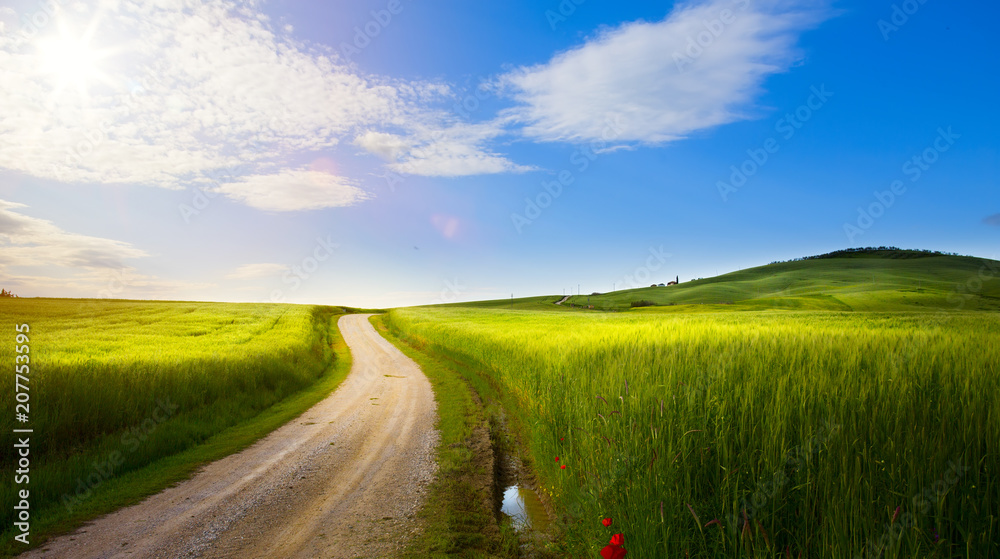 Fototapeta premium village in tuscany; Italy countryside landscape with Tuscany rolling hills ; sunset over the farm land and country road