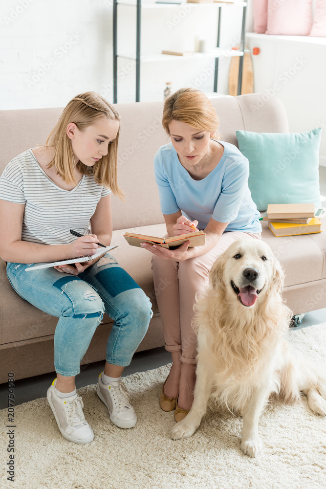 mother and teen daughter doing homework together while their dog sitting on floor