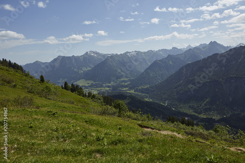 Bergwiese in den Alpen bei Oberstdorf