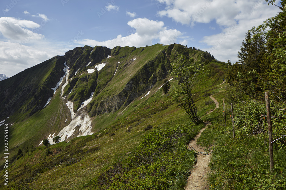 Naklejka premium Bergwiese in den Alpen bei Oberstdorf
