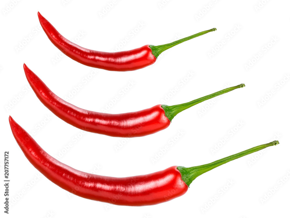 chili pepper isolated