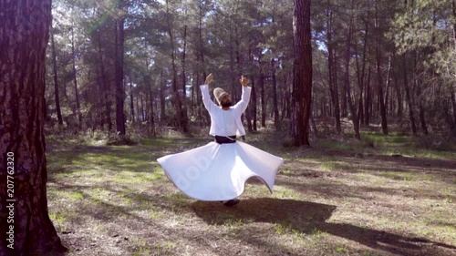 Wallpaper Mural whirling dervish Torontodigital.ca