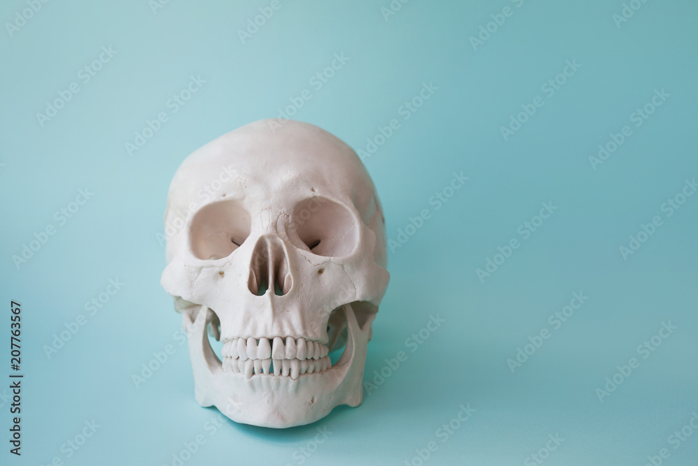 Human skull on clear blue background. Human skull on clear blue background.