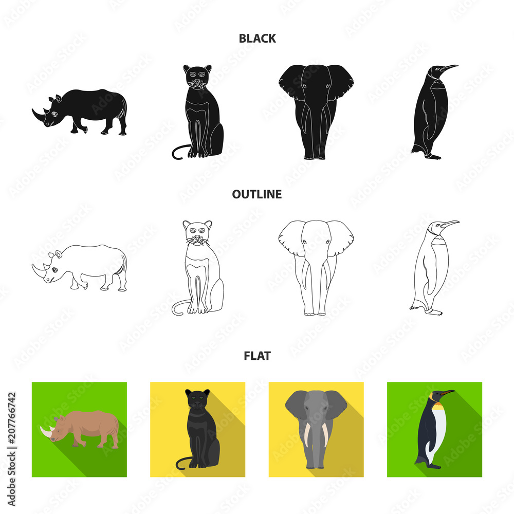 Black rhinoceros, panther wild cat, African animal elephant, imperial  penguin. Wild animals set collection icons in black,flat,outline style  vector symbol stock illustration web. Stock Vector | Adobe Stock